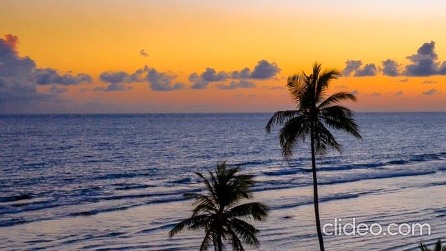 ♥️Красивая музыка с пением птиц для сна.С анимацией.Наслаждайдесь/Music for deep sleep смотреть онлайн