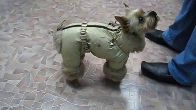 www.zoonuans.ru