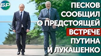 Дмитрий Песков сообщил о предстоящей встрече Путина и Лукашенко