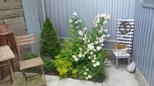 Где поставить лавочки в саду или что такое видовая точка.