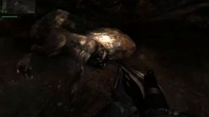 ЧЕРНАЯ ХИМЕРА (ретекстур ТЧ химеры под misery)