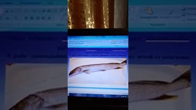 Урок "Технология приготовления пищи", тема "Обработка рыбы для фарширования".