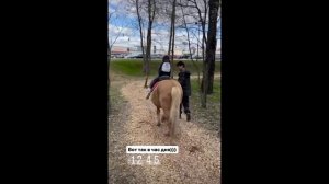 Новое увлечение Адрианны Ханна не только супер певица но и пример мамы