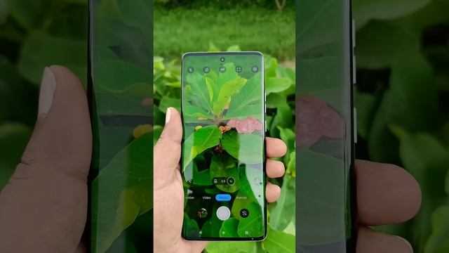 Motorola Edge 40 Curved POled Display #motorolaedge40 смотреть онлайн