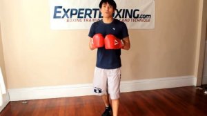 Лучшая Защитная Стойка в Боксе