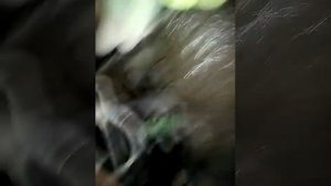 Ручник замёрз Рено Сценик.