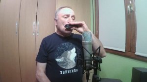 RAMMSTEIN Du Hast - harmonica armónica