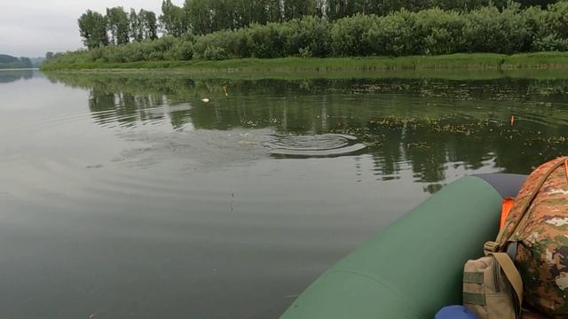 КИЛОШНЫЕ РЫБИНЫ на ПОПЛАВОК ! смотреть онлайн