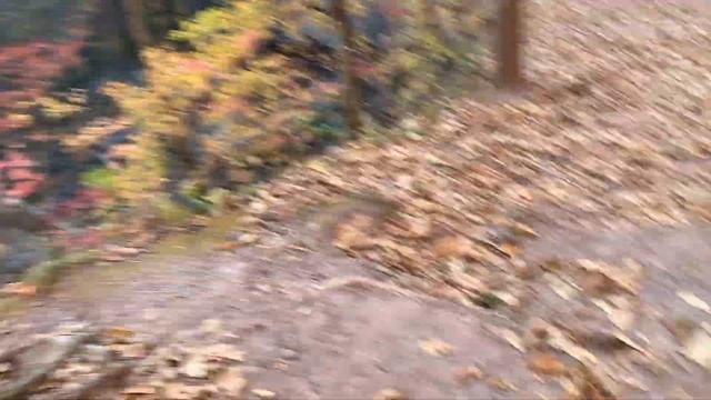 У меня СИНИЕ волосы/ Поездка на ВОДОПАДЫ смотреть онлайн