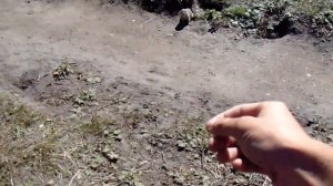 Как отдохнуть в горах ? | часть 2.