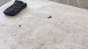 Мой телефон из пластилина IPhone 5c