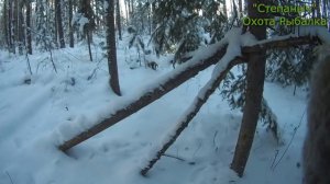 7 заезд 2 день Большой круг Приморозило (2 часть) 18 11 21