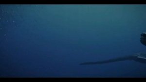 The Story of The Loch Ness Monster