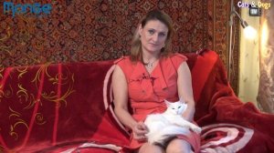 УДИВИТЕЛЬНЫЙ МИР КОШЕК - ТУРЕЦКАЯ АНГОРА / TURKISH ANGORA