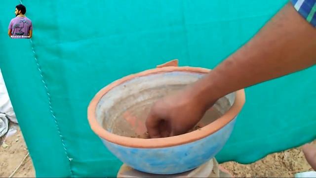 Start Banyan Bonsai Tree From Cutting /Re-pot/Roots pruning /Mammal Bonsai смотреть онлайн