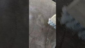 Локальная пятновыводка жирного пятна на дубленке