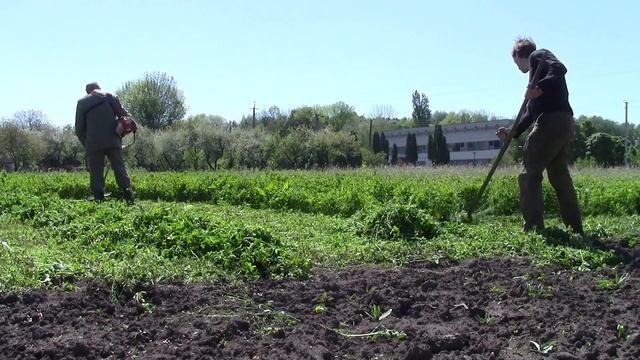 Обзор Мотокосы Husqvarna 128R часть 2 смотреть онлайн