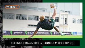 Тренировка «быков» в Нижнем Новгороде