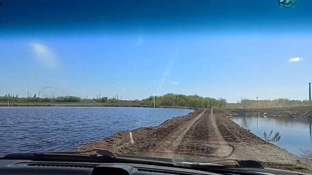 На поле увидели коров. смотреть онлайн