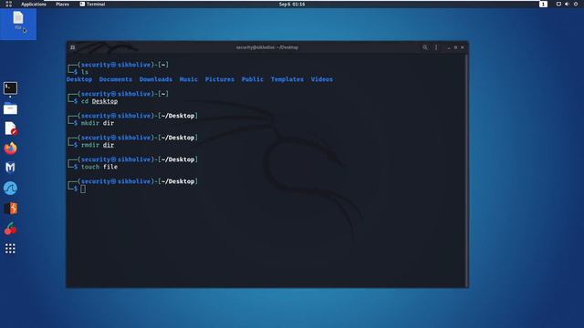 Kali Linux Basic to Advanced commands | हैकर्स  Top Commands  Everyone needs  to  learn