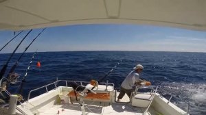 SC-32　トローリング