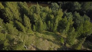 Полетаем над Сараной и Марьиным утёсом
