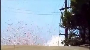 Реклама телевизора SONY BRAVIA