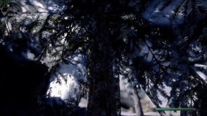 Skyrim SE Mods:Enhanced Vanilla Trees SSE (NVT) ENB