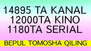 14895TA PULLIK KANALLARNI TEKIN KO'RISH 2024