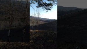 Охота на увалах