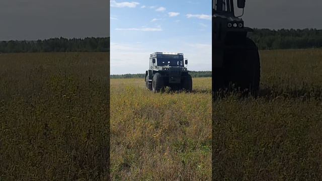 Вездеход с тигром в Зейском округе