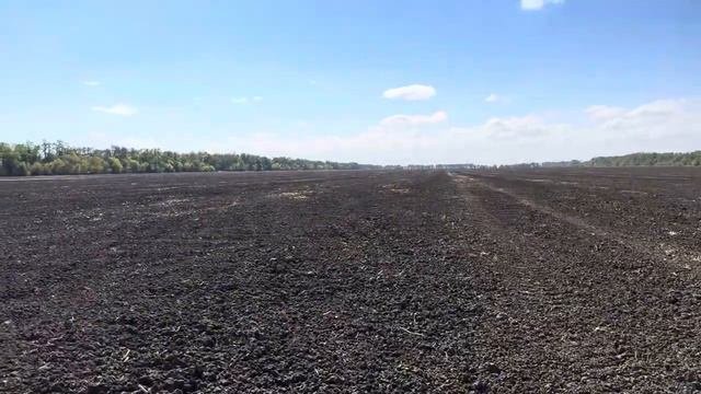 Пшеница 2024. Предшественник - озимая пшеница. К посеву готовы.