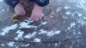 Рыбалка на Хапугу хлопок, зимой. Зимняя рыбалка на Амуре.