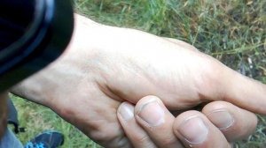Человек жестко мучает лягушку, пойманную в лесу.