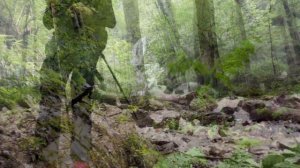 Роза Хутор летом. Водопады. Хайкинг. Красная поляна #поход #тур