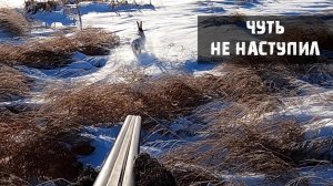 Охота на зайца_Устроил нам погоню_Тропим