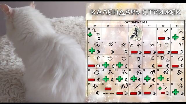 Лунный календарь СТРИЖКИ волос на ОКТЯБРЬ '22. Благоприятные и неблагоприятные дни #календарьстриже