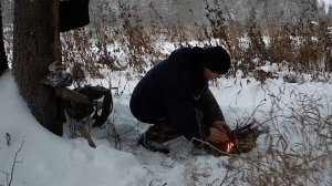 Сбор гриба чаги зимой