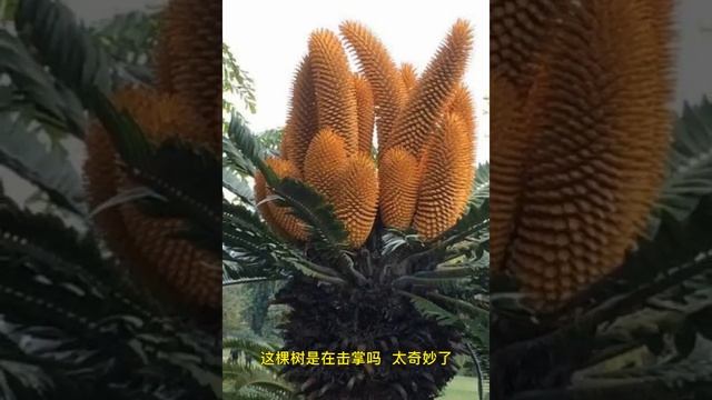 Смена времён года смотреть онлайн