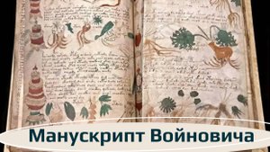 Манускрипт Войновича