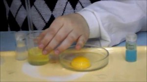 определение белка