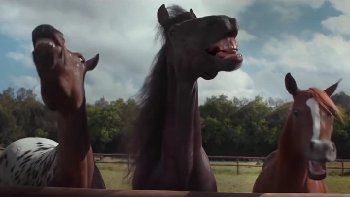 ХА-Ха-ха! Что-то ржу, как конь ретивый! смотреть онлайн