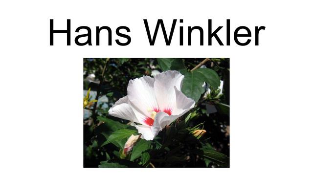 Hans Winkler смотреть онлайн