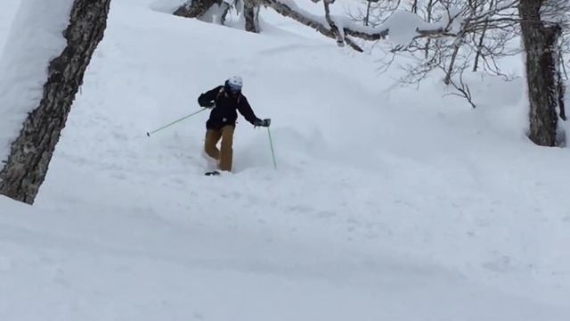Japanuary 2016 - Japan by Van (Honshu & Hokkaido powder skiing) смотреть онлайн