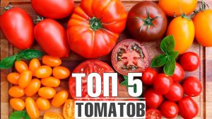 Топ 5 лучших томатов которые я сажаю каждый год ✔️ Советы от Хитсад ТВ