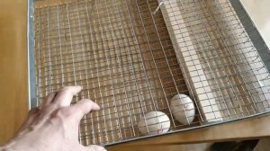 Как уложить яйца в инкубатор. Удобный и безопасный способ.