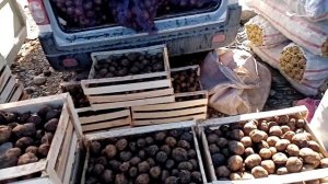 шурчи 👍👍👍👍✍️✍️✍️✍️🇺🇿🇺🇿🇺🇿🇺🇿