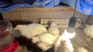 75ч?ПЕРЕЕЗД НА ЮГ ИЗ СИБИРИ/Сколько потратили на летнюю кухню/