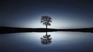 КАК ПОЕТ СОЛОВЕЙ, КРАСИВОЕ ПЕНИЕ СОЛОВЬЯ, СОЛОВЬИНАЯ ПЕСНЯ, СЛУШАТЬ 3 ЧАСА