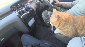 ПОСЁЛОК АРМАНЬ МАГАДАНСКАЯ ОБЛАСТЬ АРМАНСОКЕ ПОБЕРЕЖЬЕ ИЮНЬ 2023